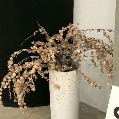 兽设海洋场景创作福瑞交流群